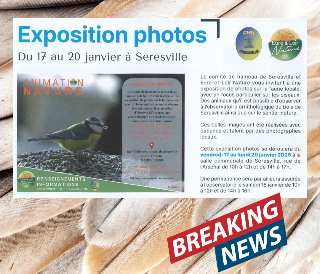 EXPOSITION PHOTOS