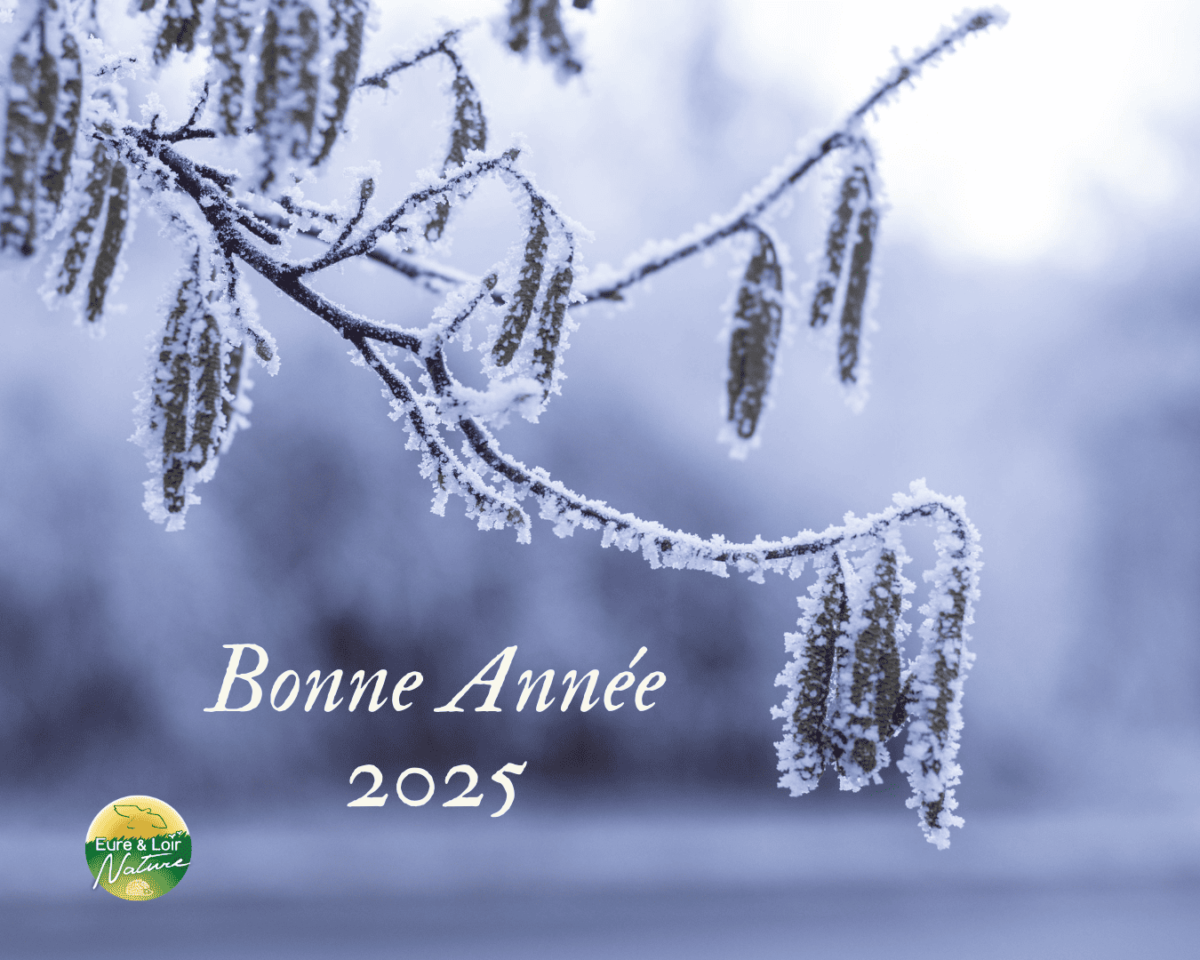 BONNE ANNÉE 2025